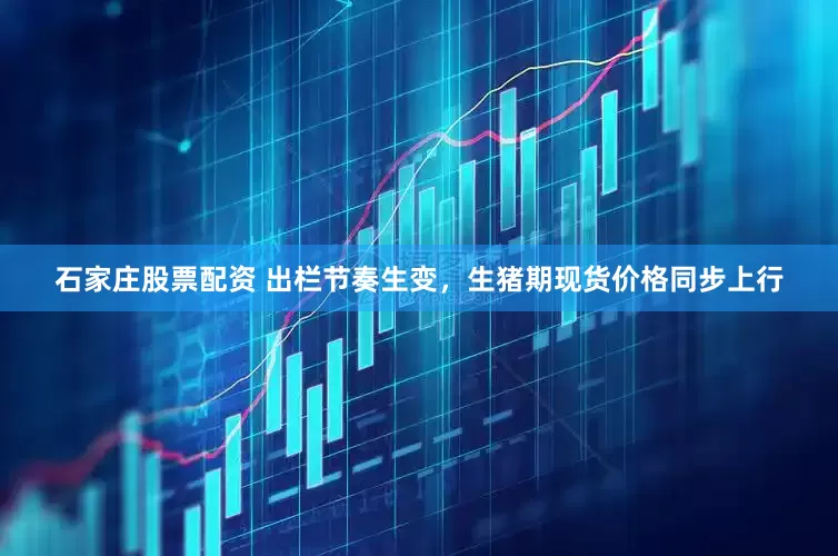 石家庄股票配资 出栏节奏生变，生猪期现货价格同步上行