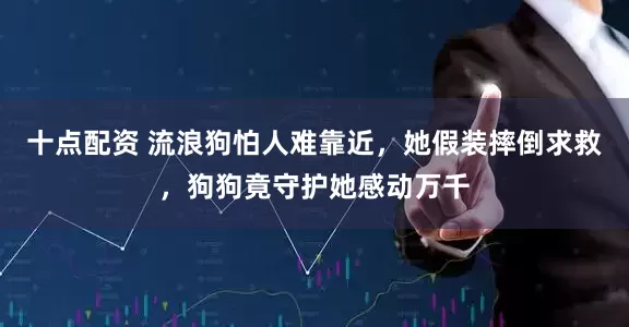 十点配资 流浪狗怕人难靠近，她假装摔倒求救，狗狗竟守护她感动万千