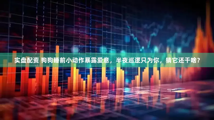 实盘配资 狗狗睡前小动作暴露爱意，半夜巡逻只为你，猜它还干啥？