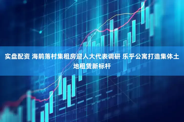 实盘配资 海䴖落村集租房迎人大代表调研 乐乎公寓打造集体土地租赁新标杆